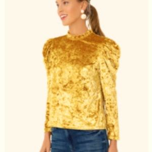 Velvet Puffed Sleeve Top